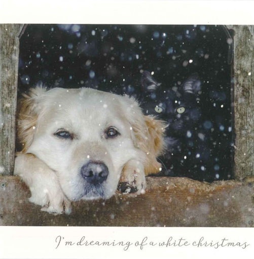 Picture of DOG WHITE CHRISTMAS CARD